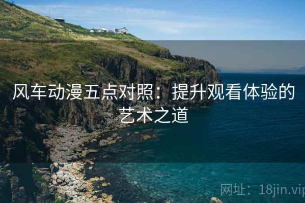 风车动漫五点对照：提升观看体验的艺术之道