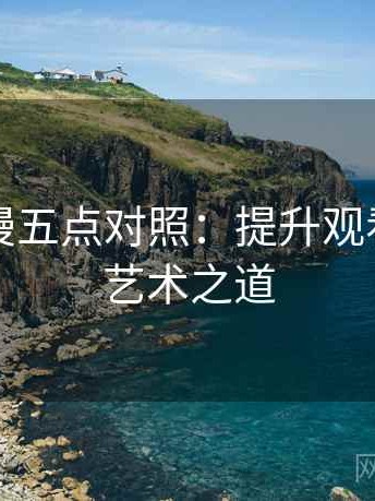 风车动漫五点对照：提升观看体验的艺术之道