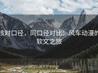 核对口径，同口径对比：风车动漫的软文之旅