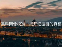 黑料网像校准：揭开证据链的真相