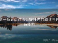爱一番五点对照：提升你的阅读与理解能力