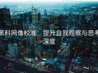 黑料网像校准：提升自我观察与思考深度