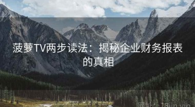 菠萝TV两步读法：揭秘企业财务报表的真相
